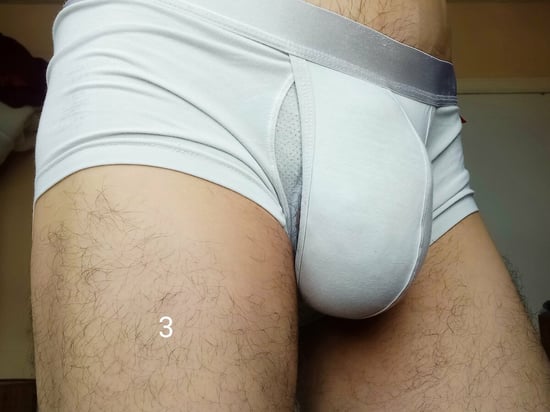 boxers usados