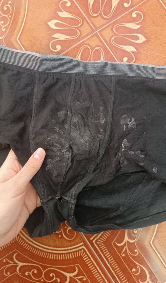 boxers usados